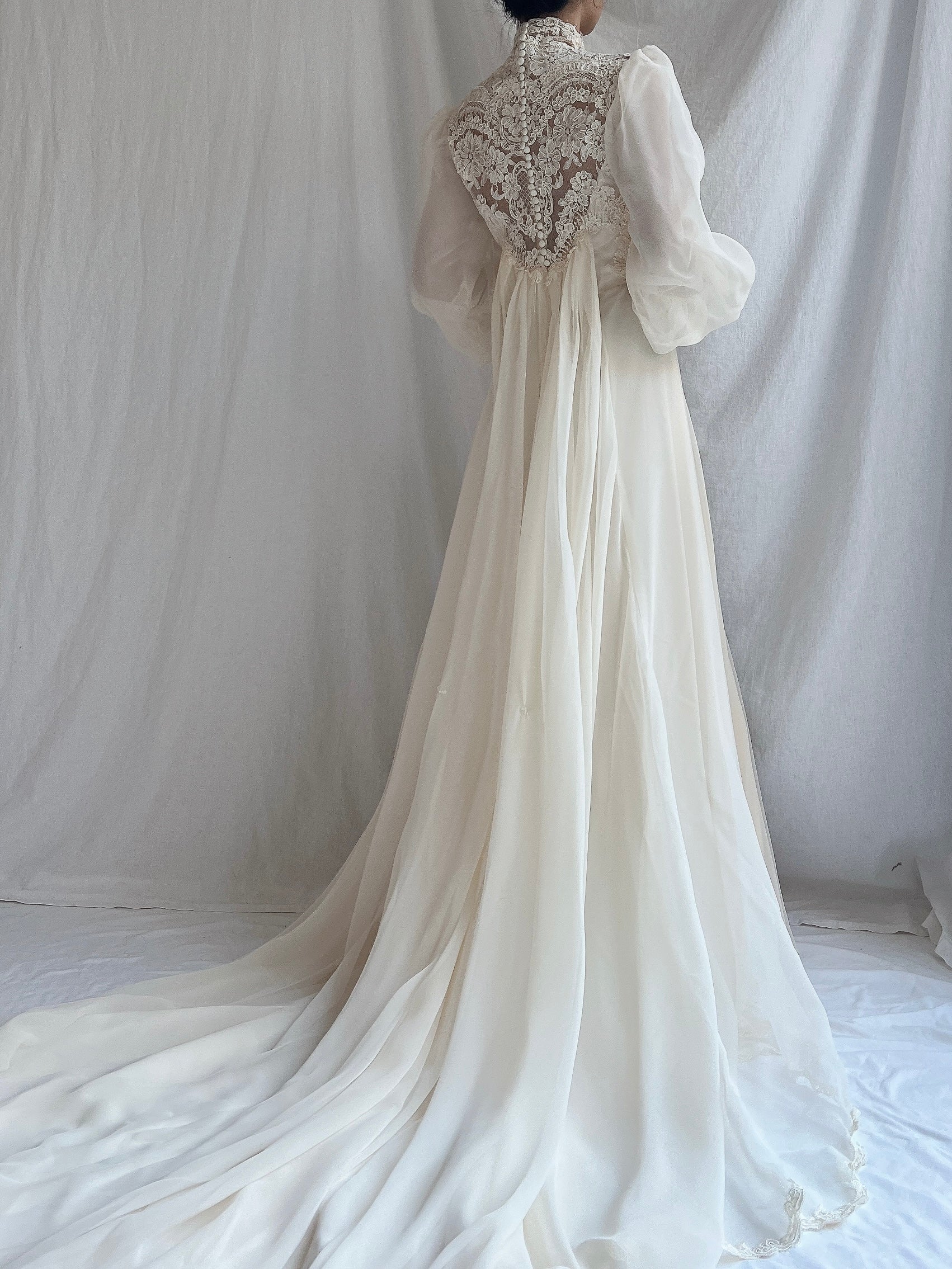 Vintage Poet Sleeve Chiffon and Lace Gown - S
