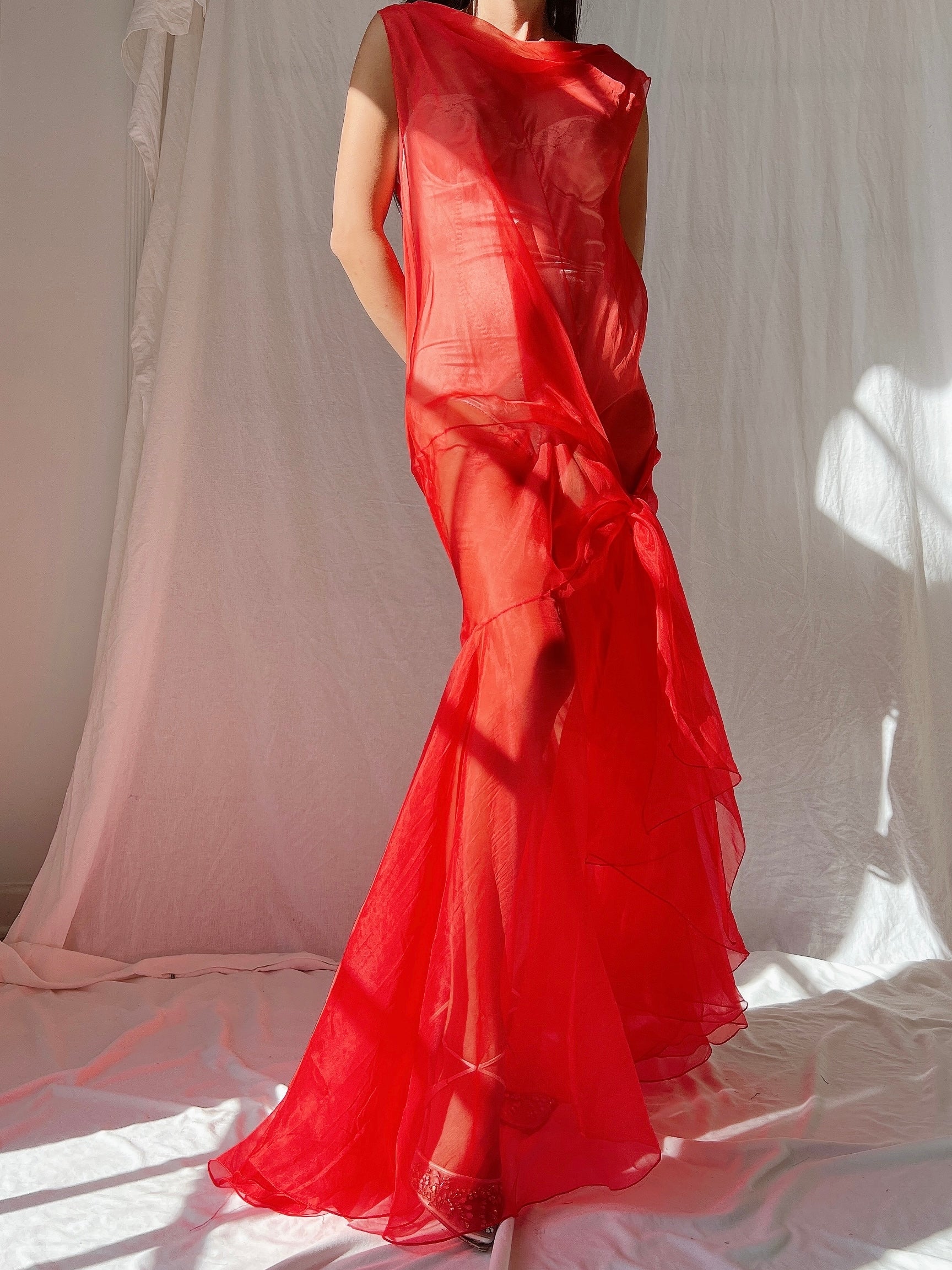 Vintage Silk Organza Dress - M