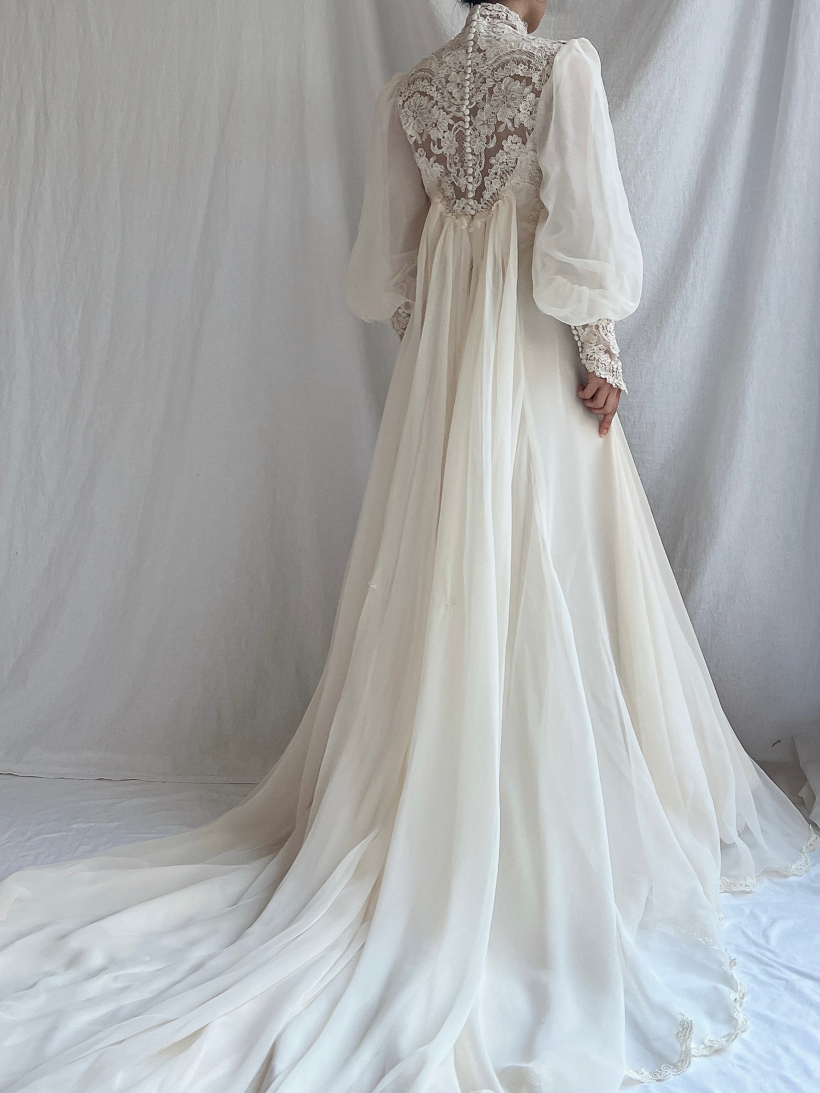 Vintage Poet Sleeve Chiffon and Lace Gown - S