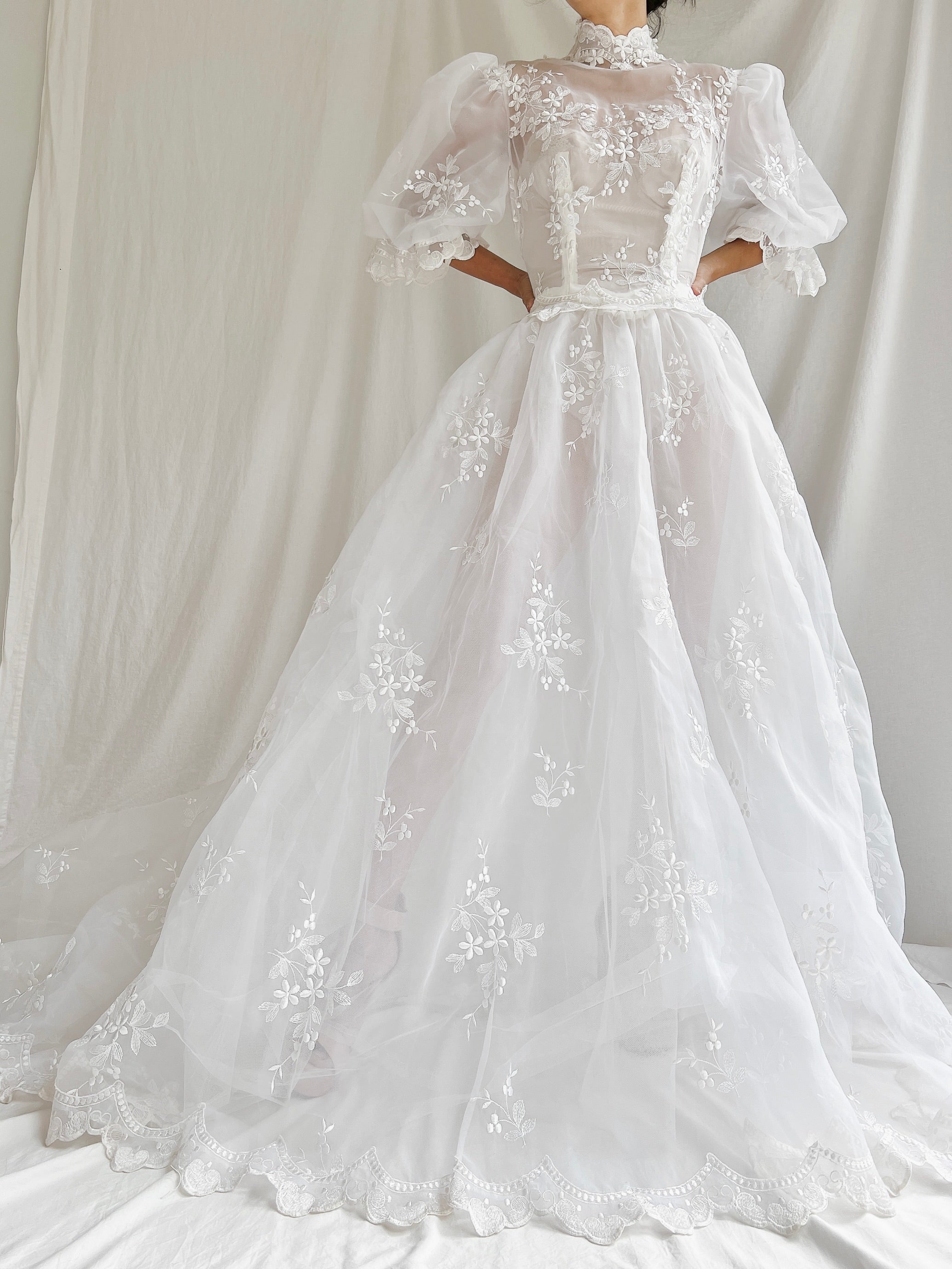 Vintage Sheer Puff Sleeves Gown - S