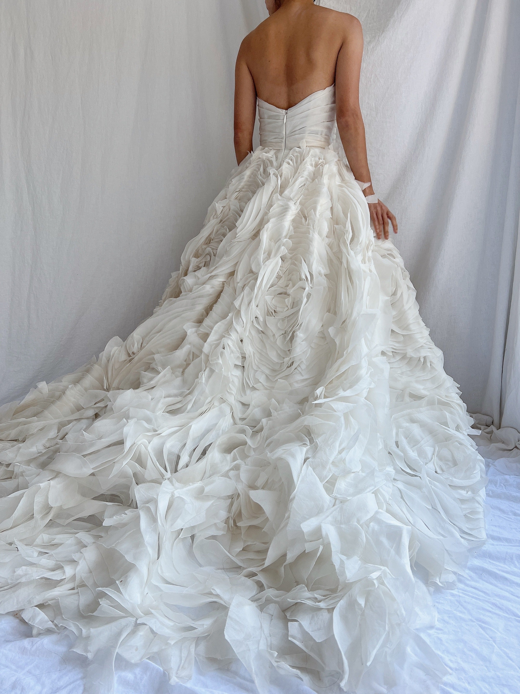 Monique Llhuilier Platinum Silk Organza Dress - XS/2