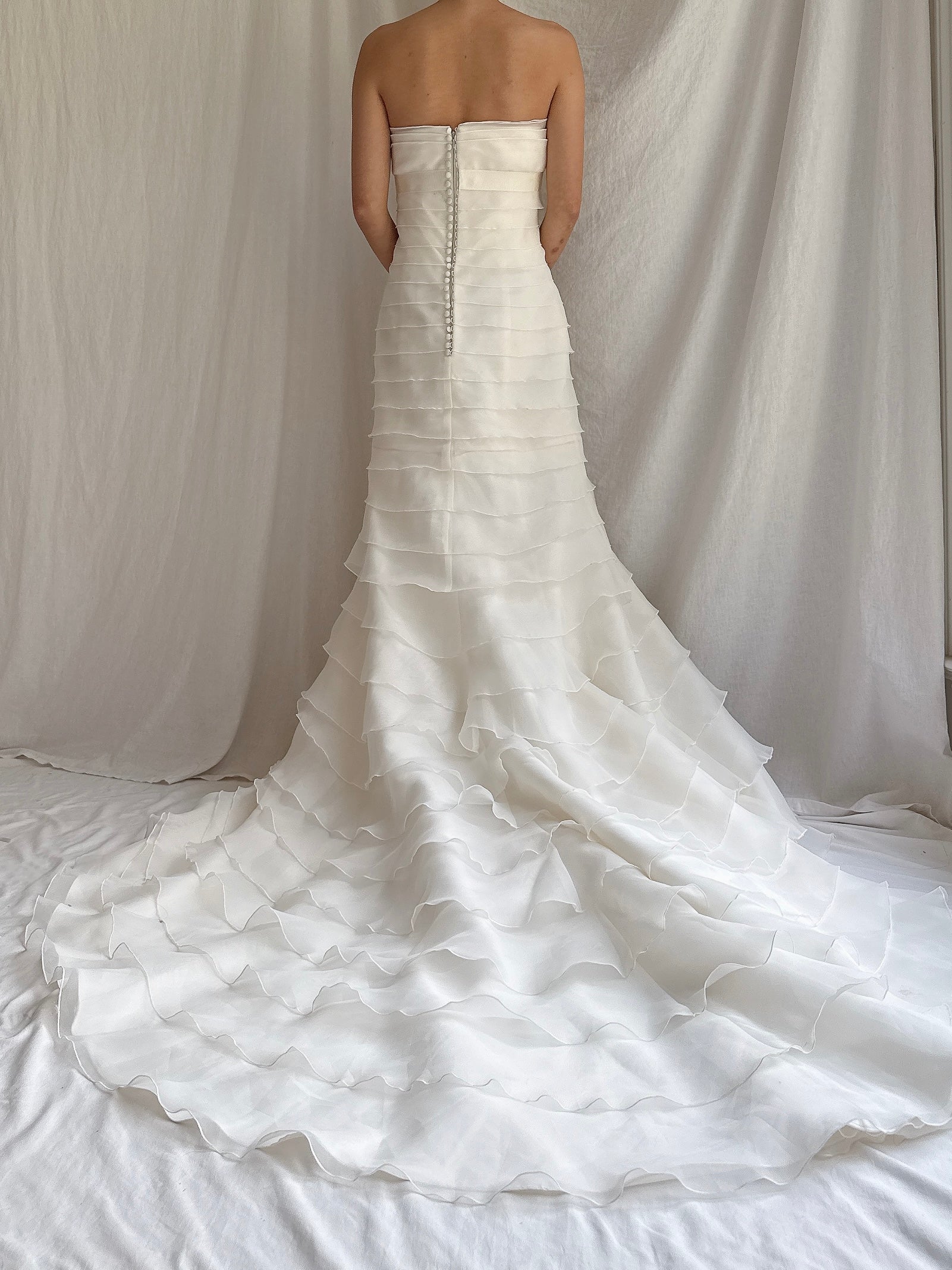 Vintage Ruffle Organza Dress - S/4