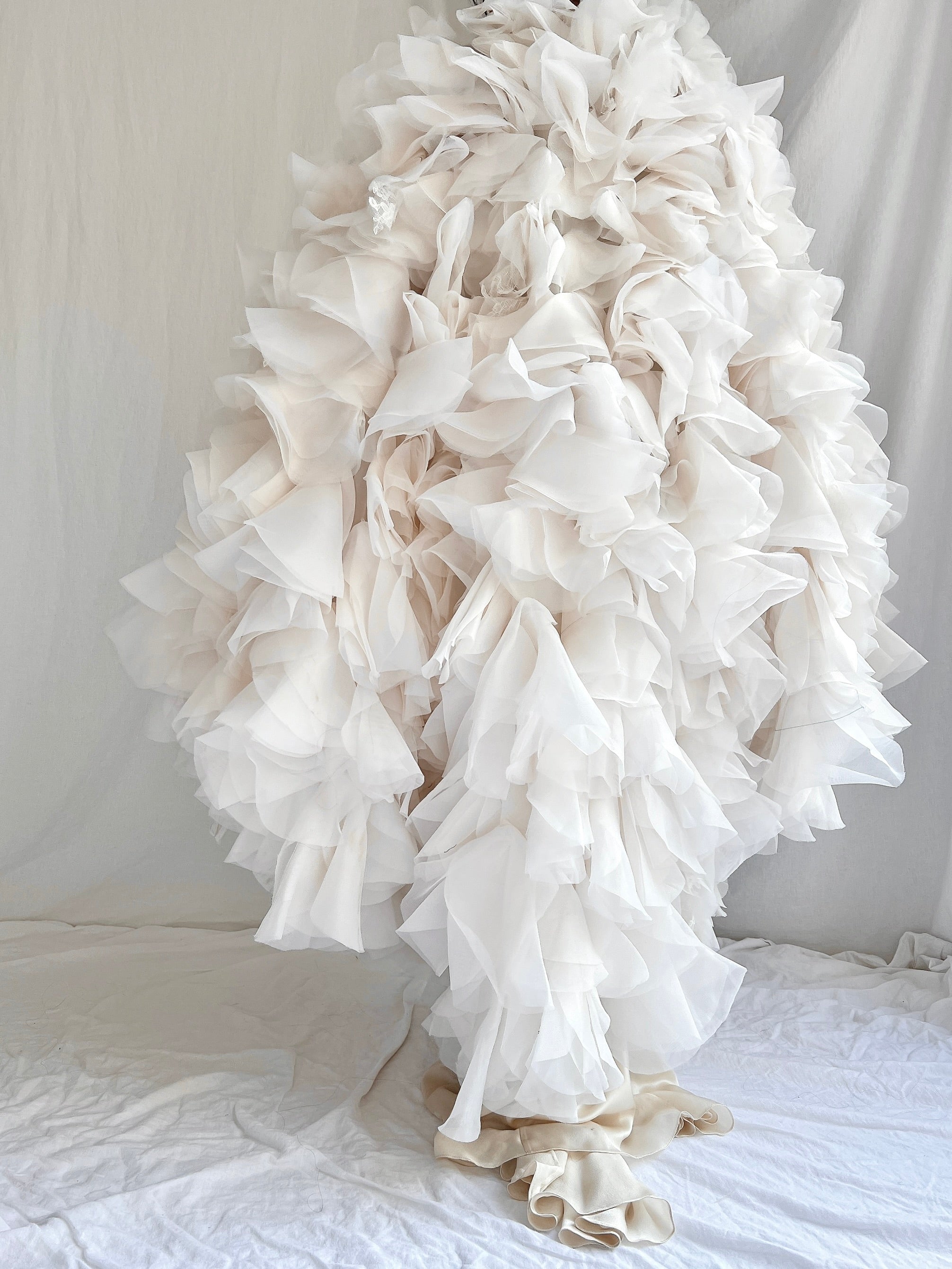 Organza and Lace Cape - OSFM