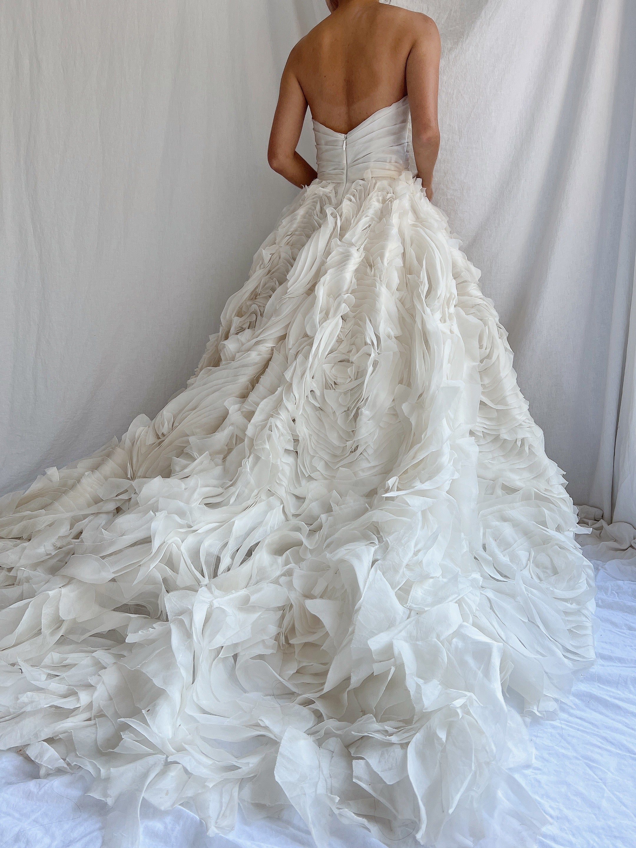 Monique Llhuilier Platinum Silk Organza Dress - XS/2