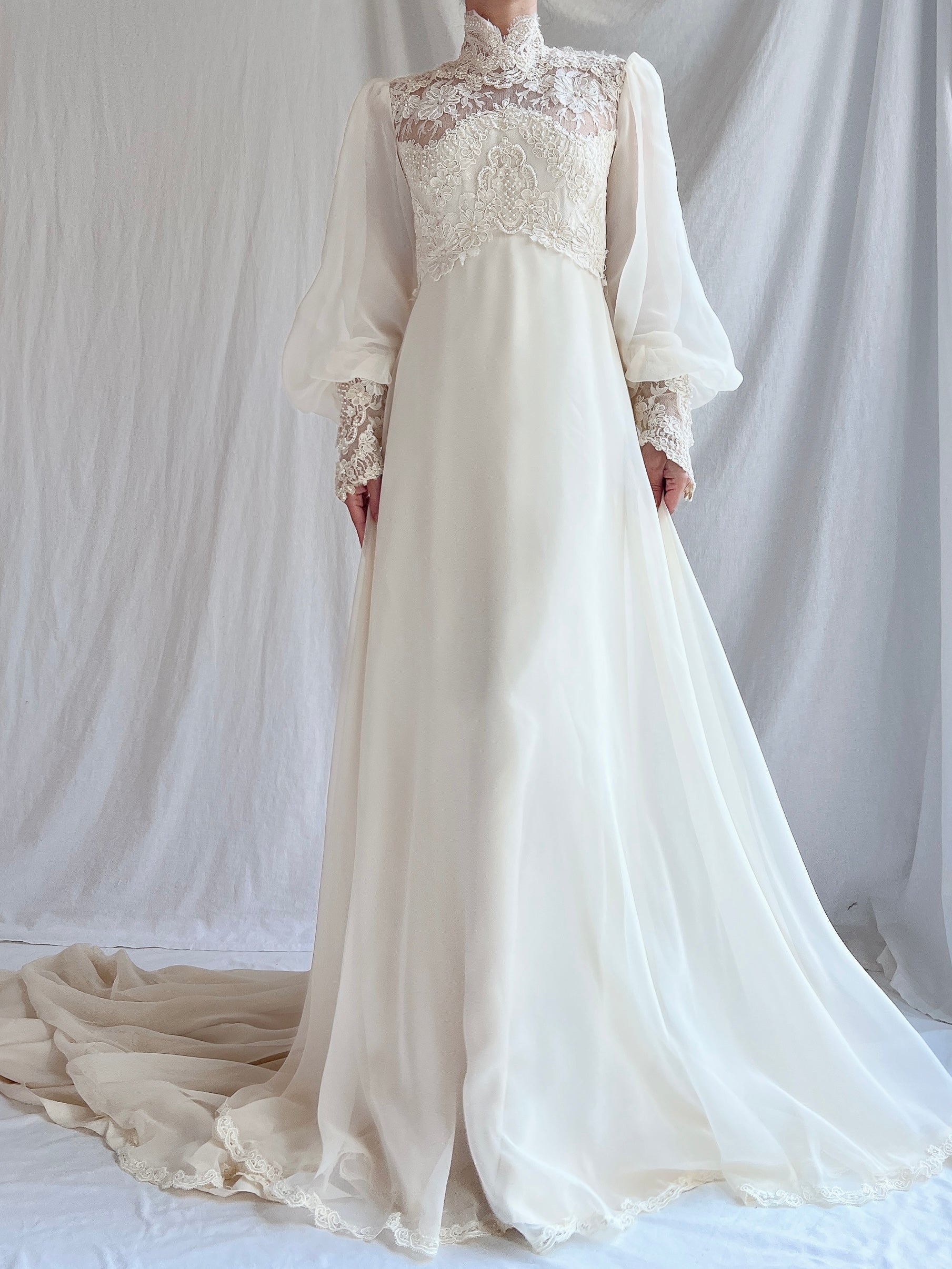 Vintage Poet Sleeve Chiffon and Lace Gown - S