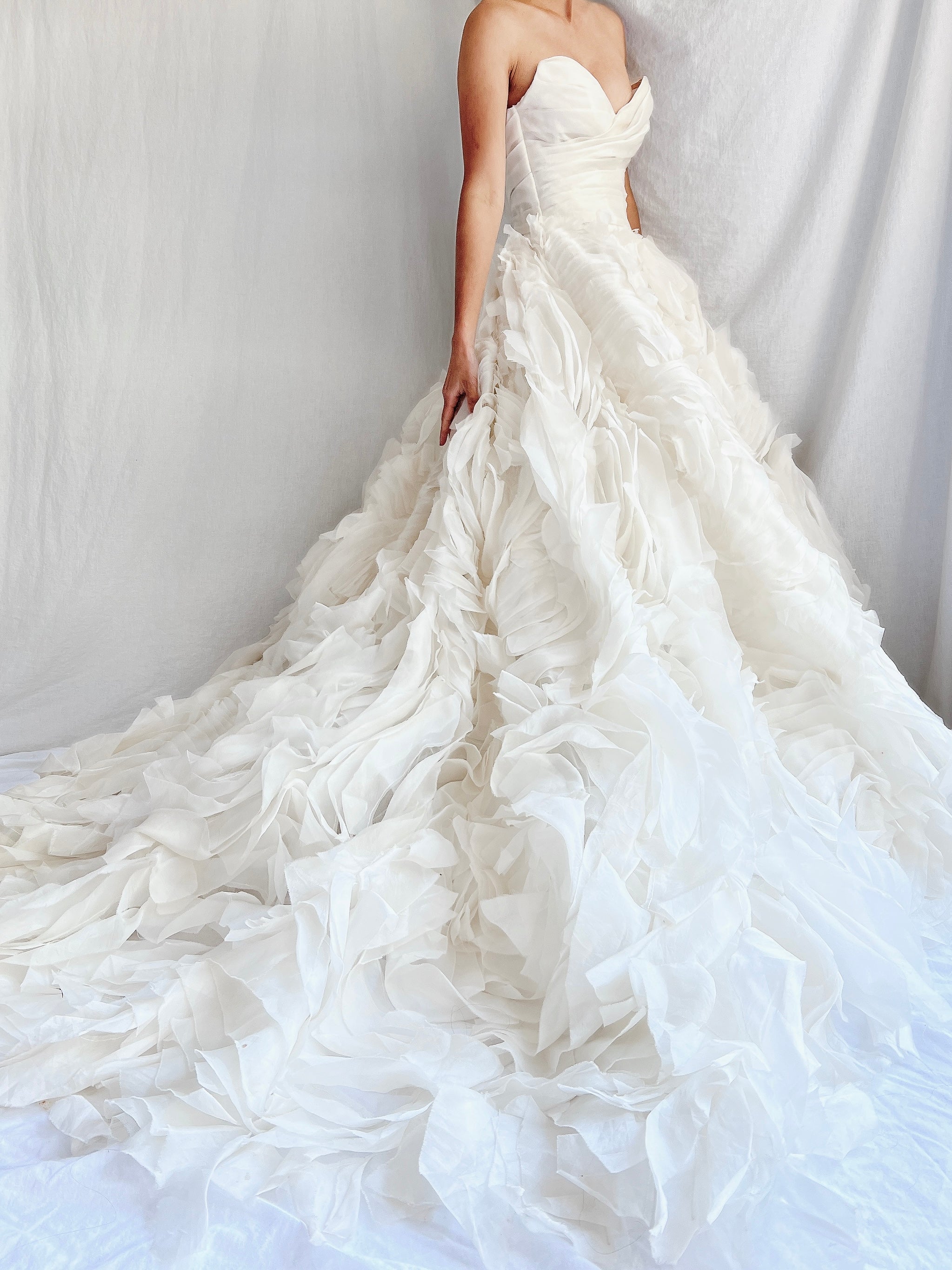 Monique Llhuilier Platinum Silk Organza Dress - XS/2