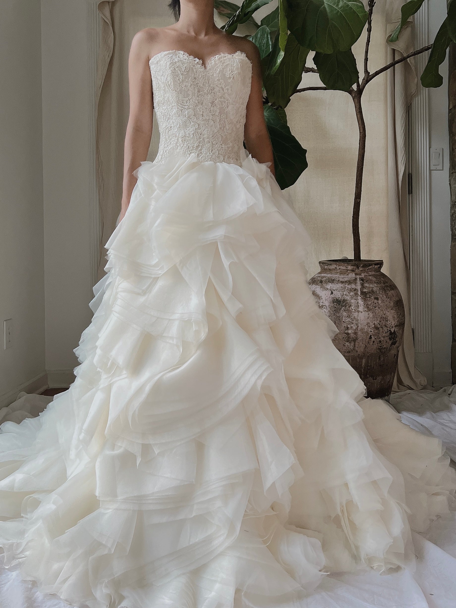 Vintage Organza Alencon Bodice Gown - S/4