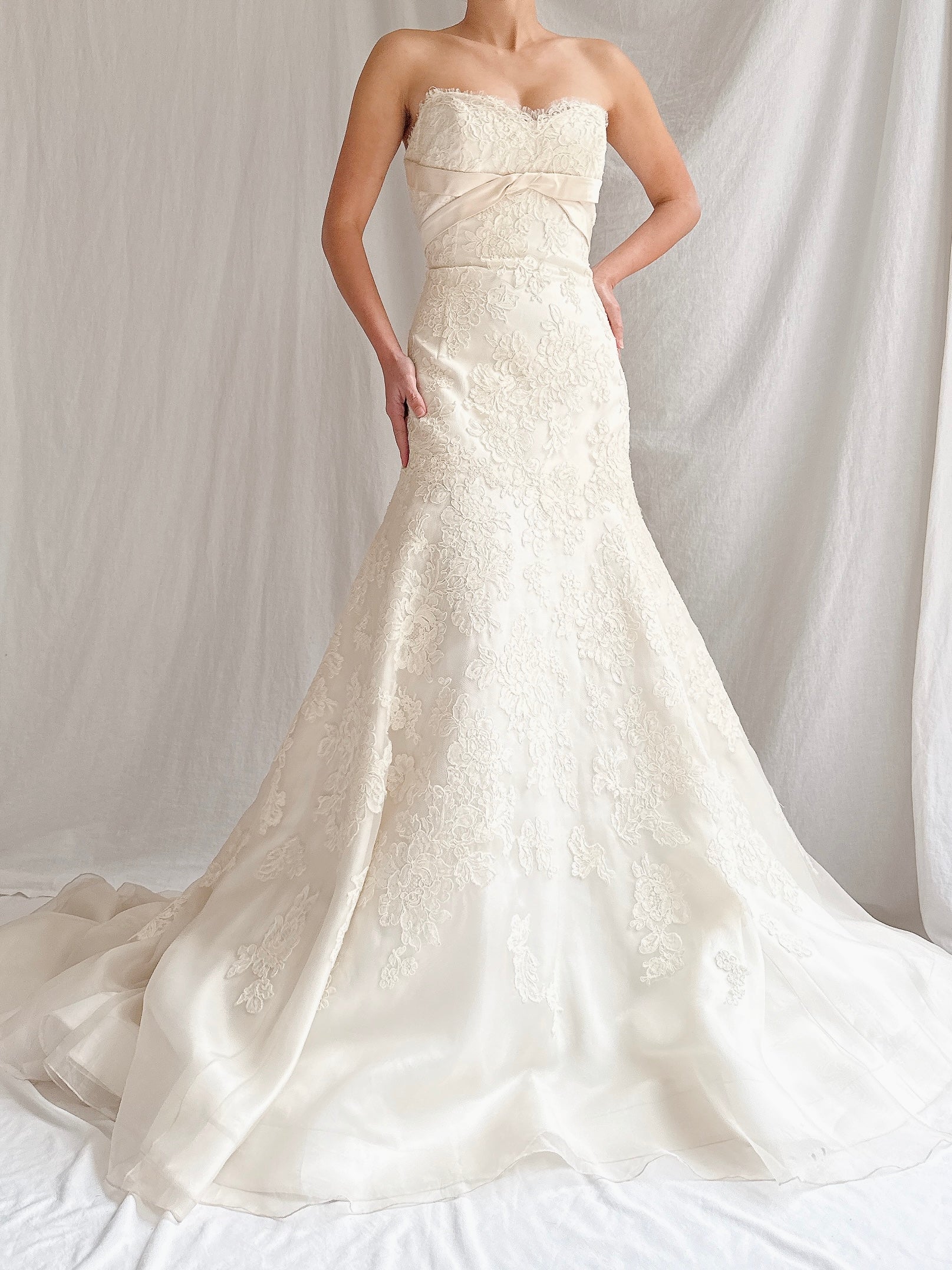 “RESERVED” Vintage Liancarlo Couture Alencon Lace & Silk Organza Gown - S/M 6