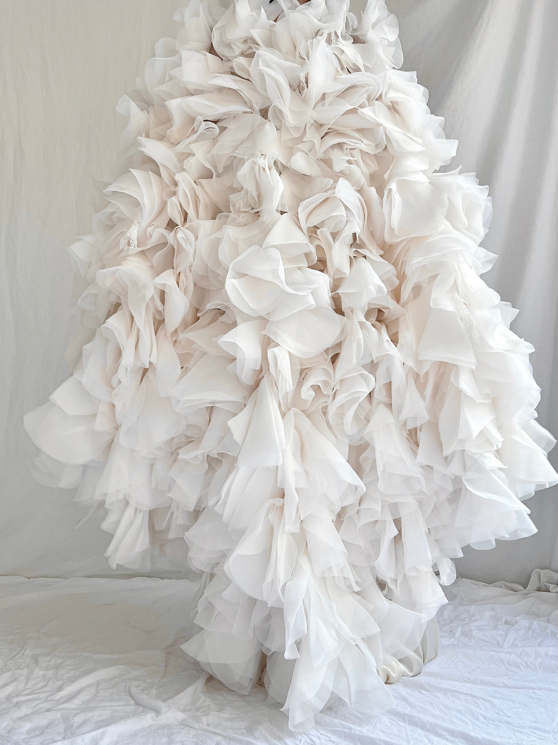 Organza and Lace Cape - OSFM