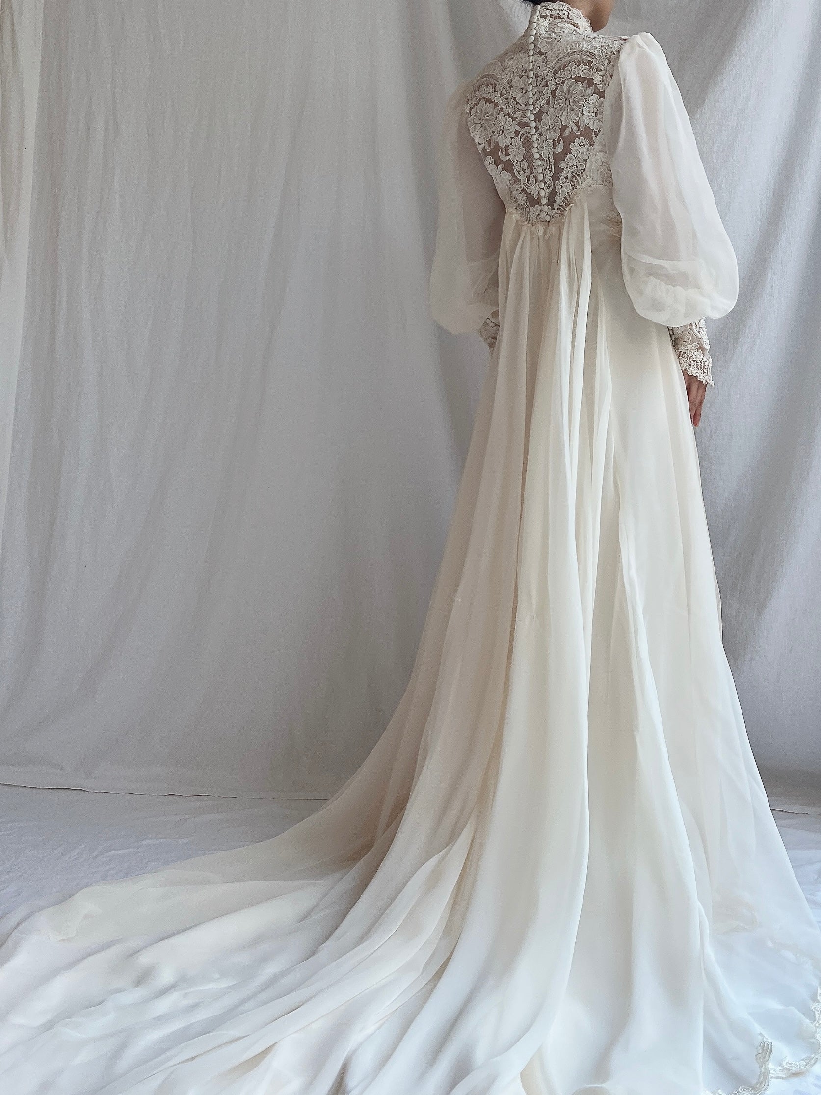 Vintage Poet Sleeve Chiffon and Lace Gown - S