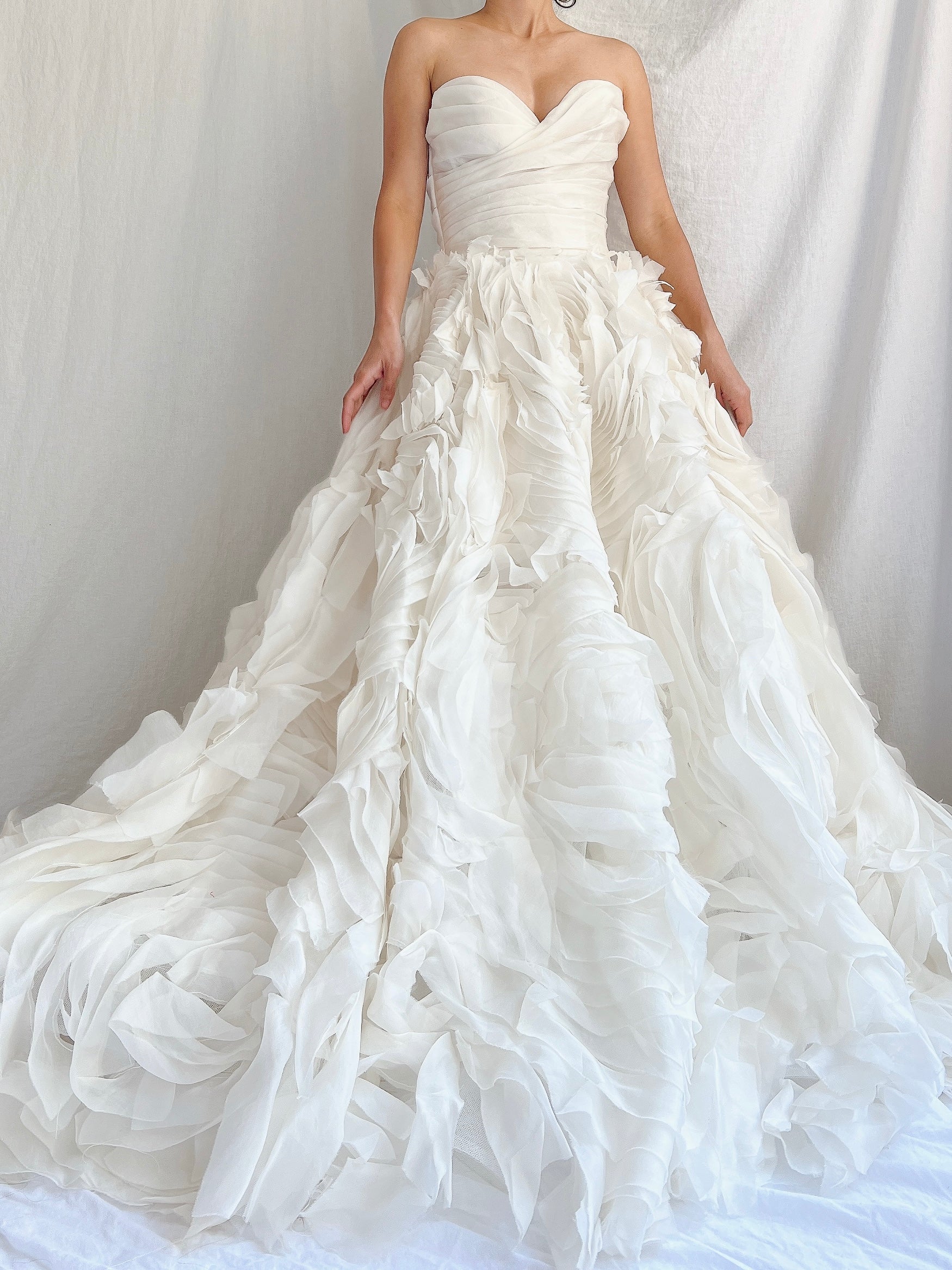 Monique Llhuilier Platinum Silk Organza Dress - XS/2