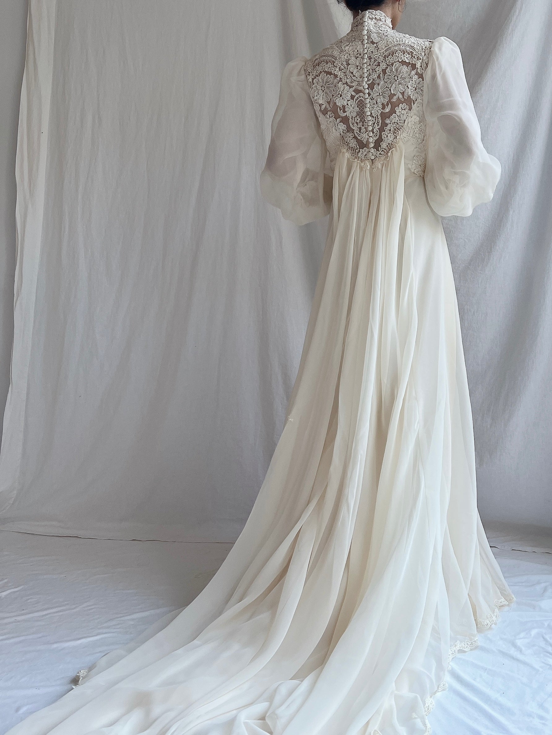 Vintage Poet Sleeve Chiffon and Lace Gown - S