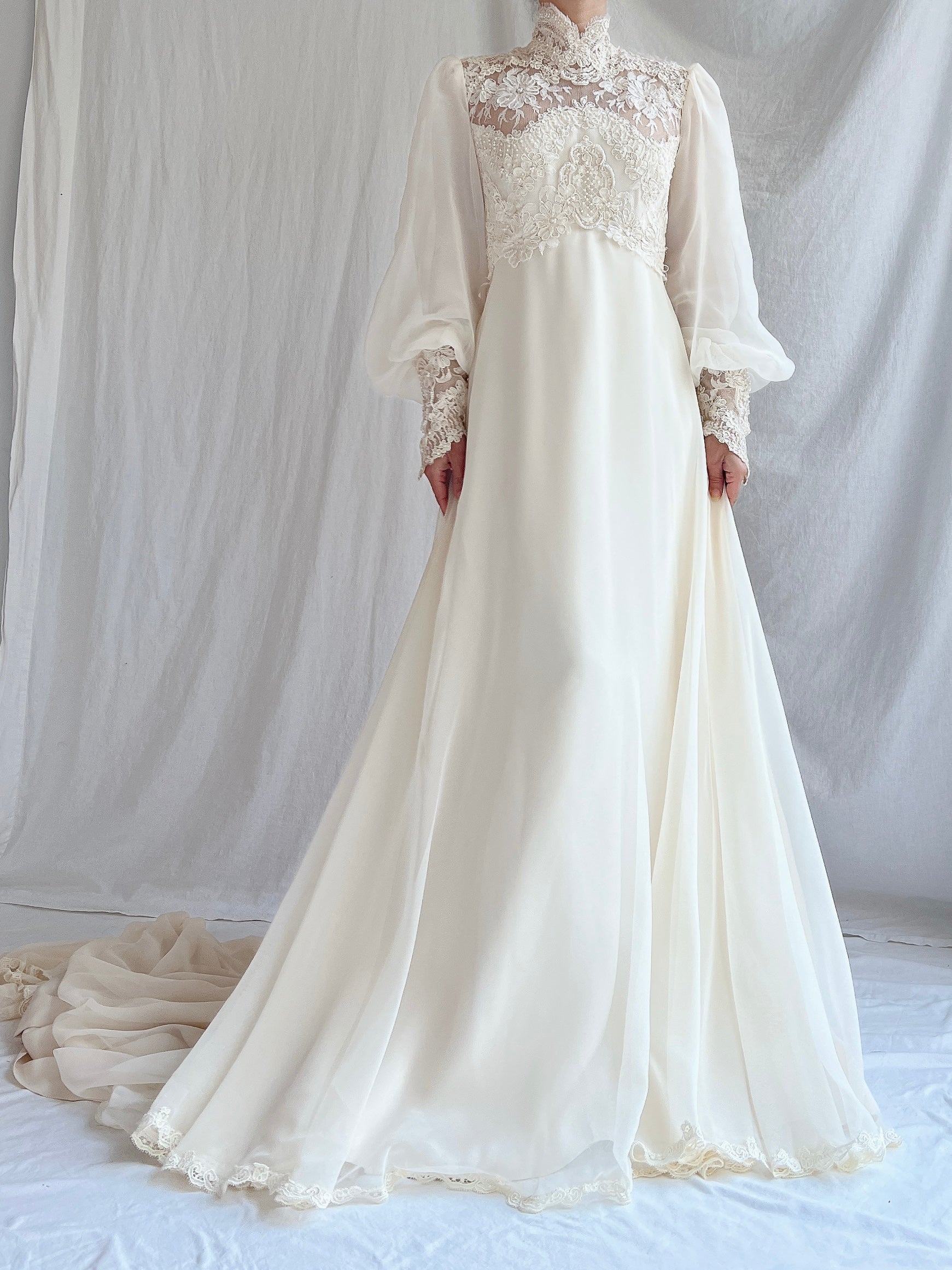 Vintage Poet Sleeve Chiffon and Lace Gown - S