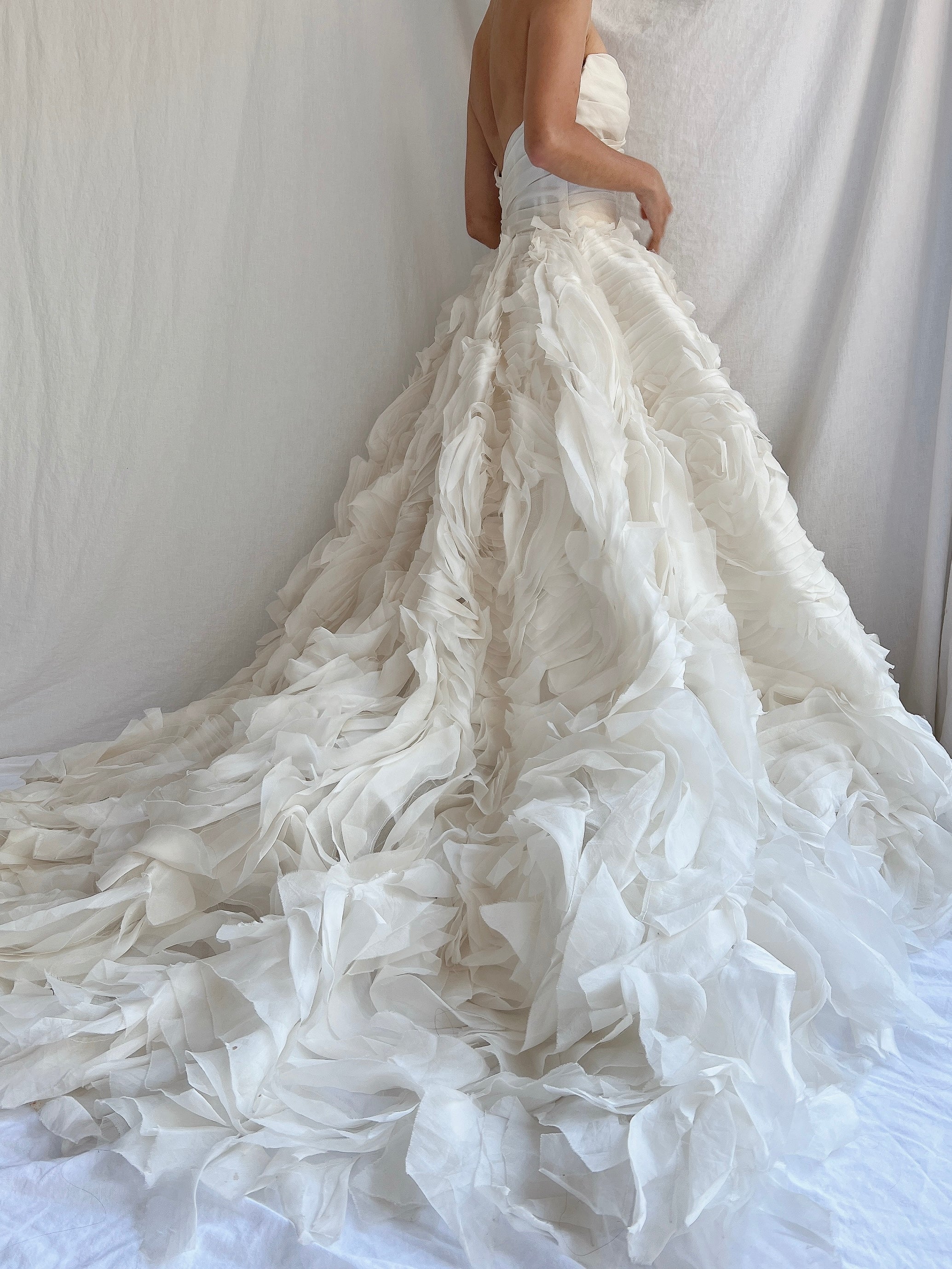 Monique Llhuilier Platinum Silk Organza Dress - XS/2