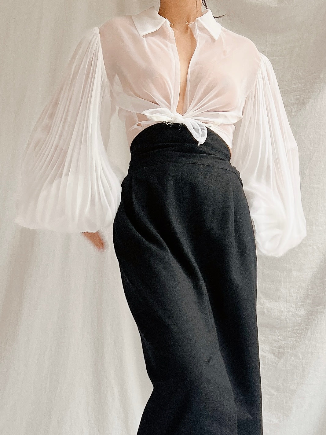 Vintage Balloon Pleated Sleeves Top - XS/S