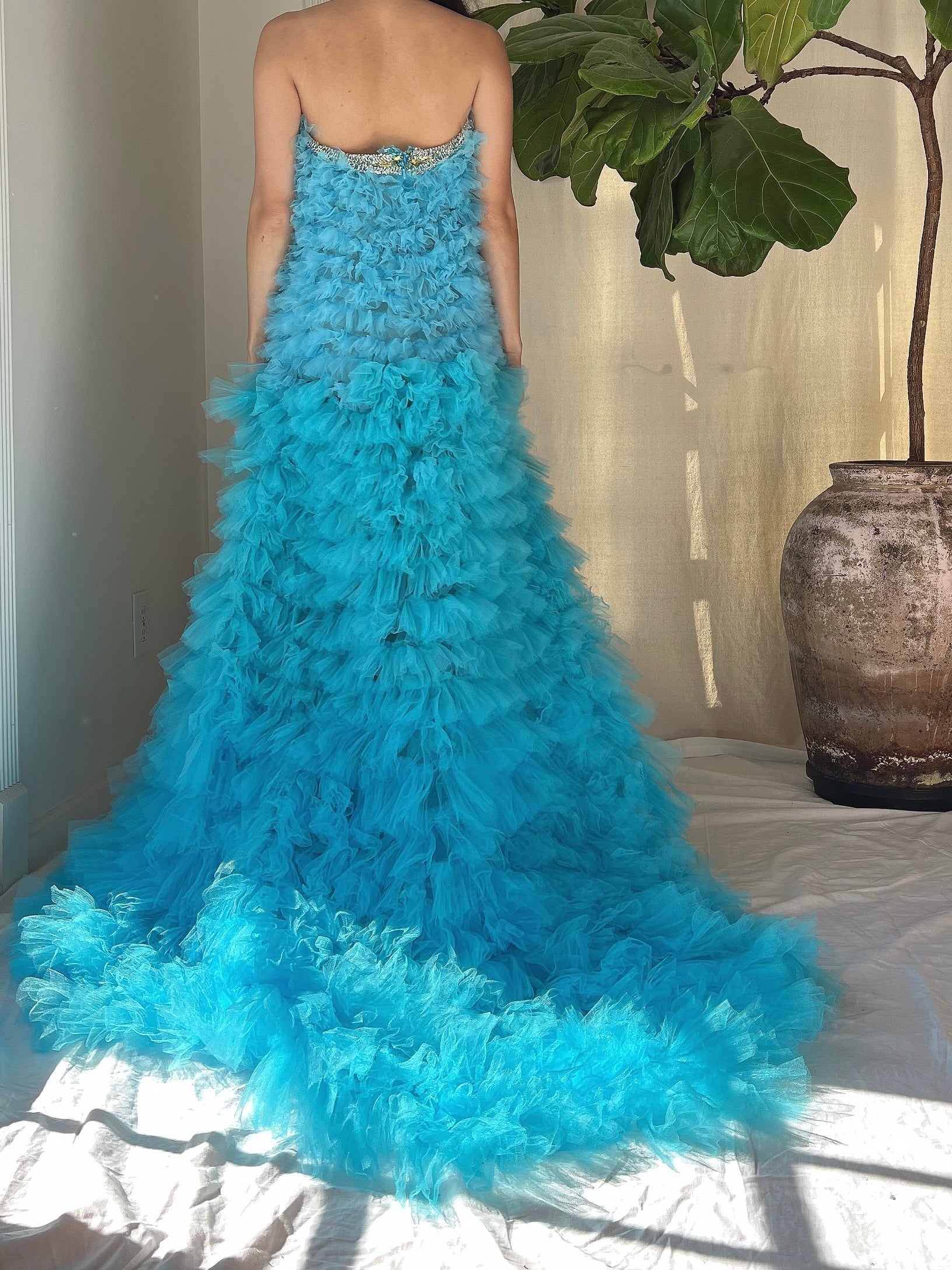 Ruffle Ombre Tulle Hi-Low Gown/Skirt - S-M