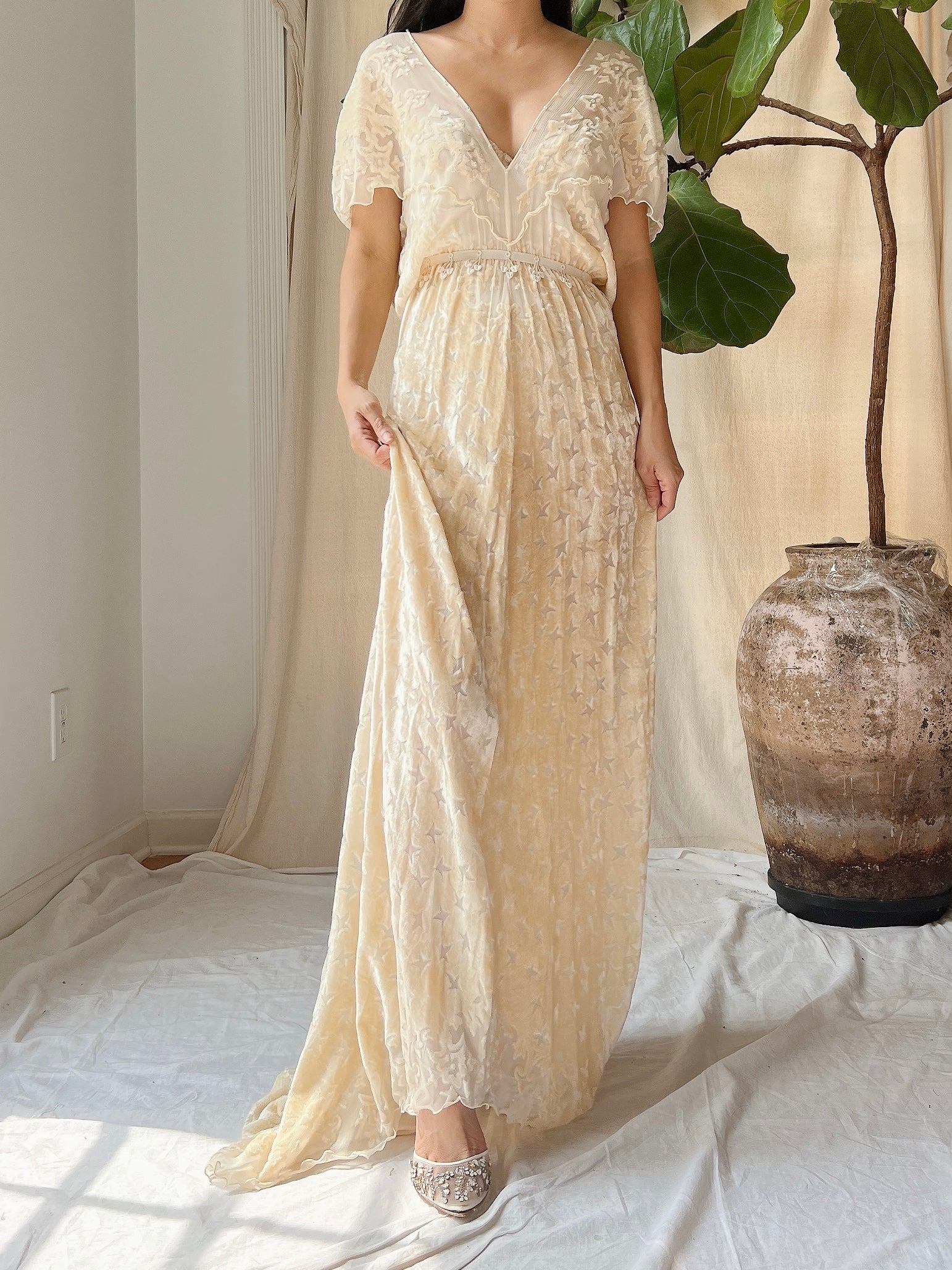 Vintage Silk Velvet Devore Gown - M/L