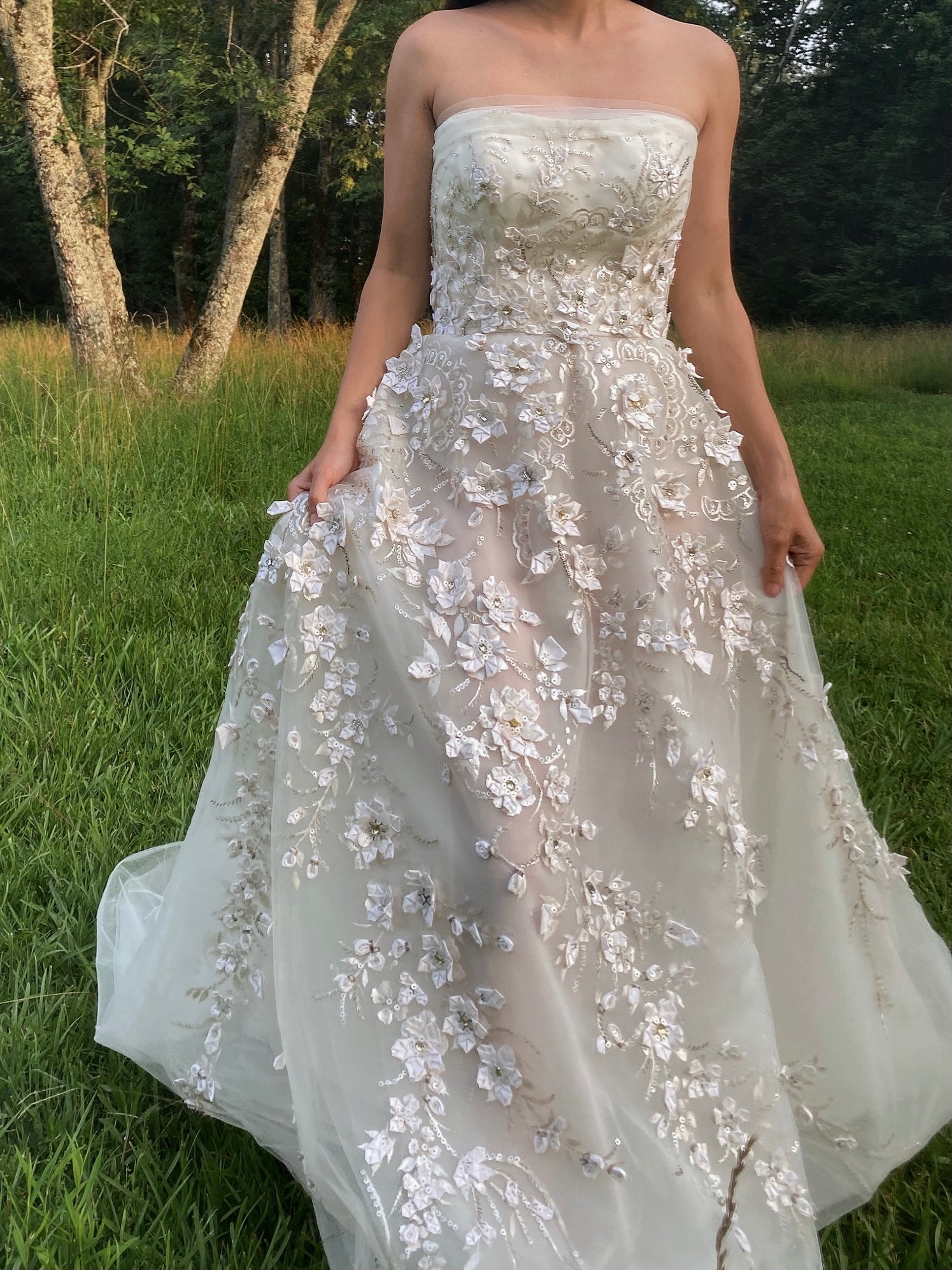 Carolina Herrera Tulle and Silk Embellished Gown - XS/2