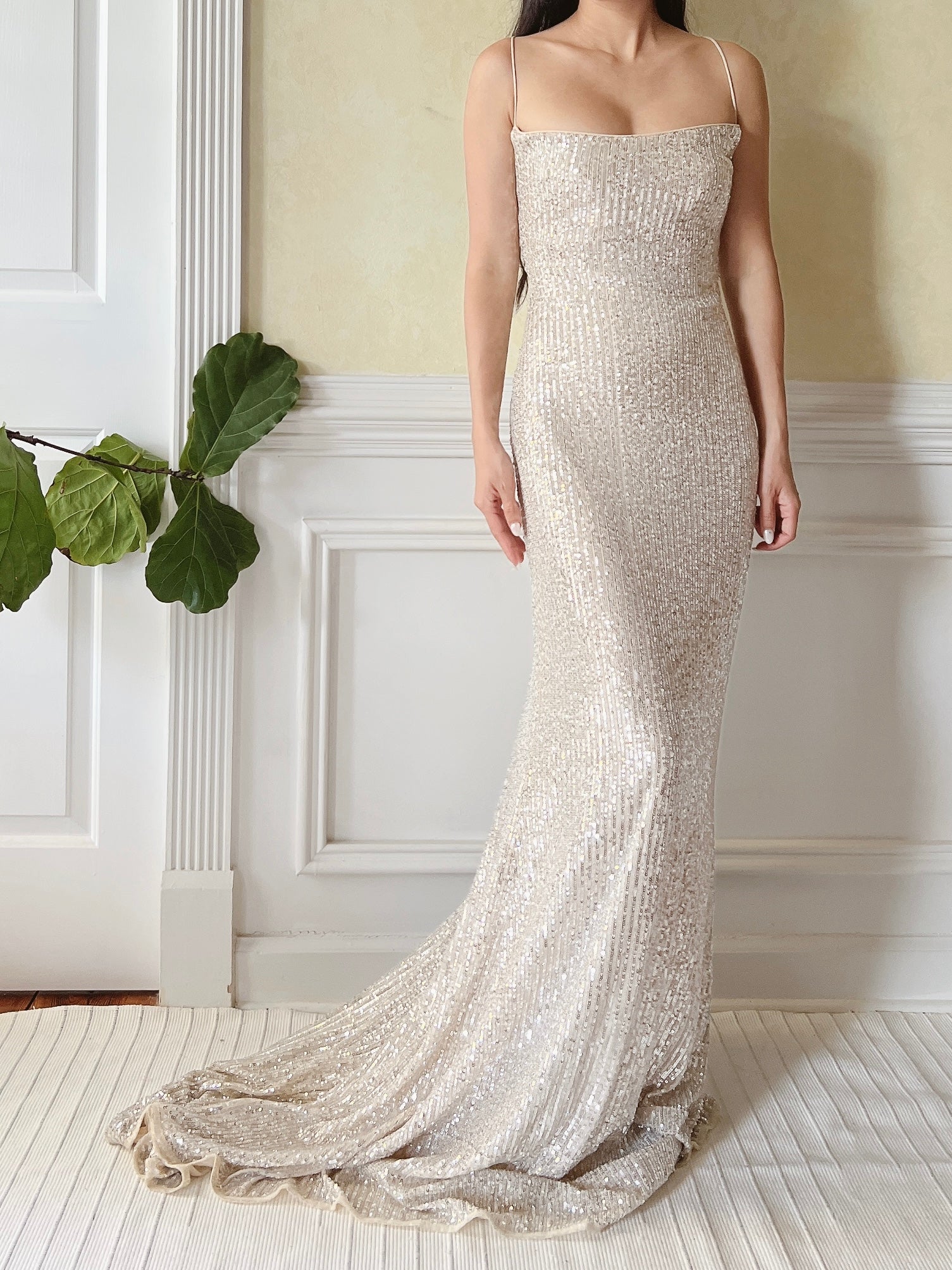 Nude Trained Sequins Gown - S/4/6