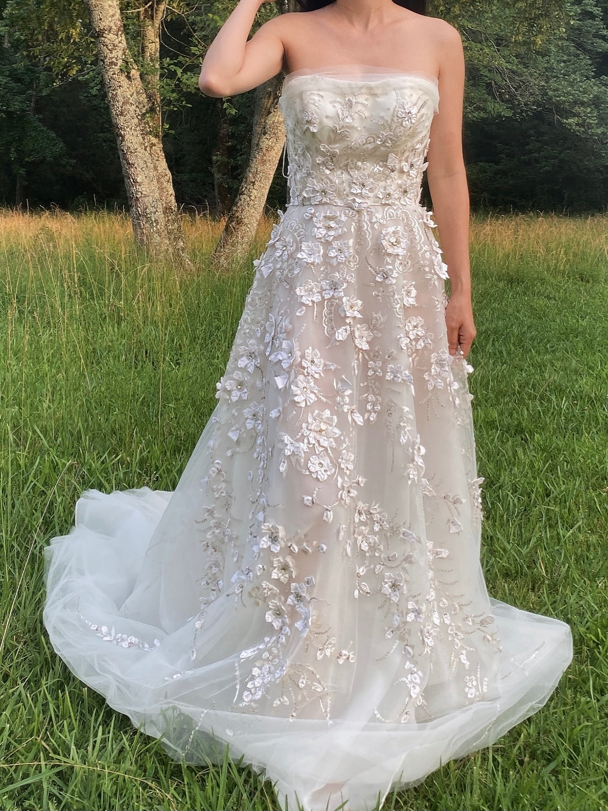 Carolina Herrera Tulle and Silk Embellished Gown - XS/2